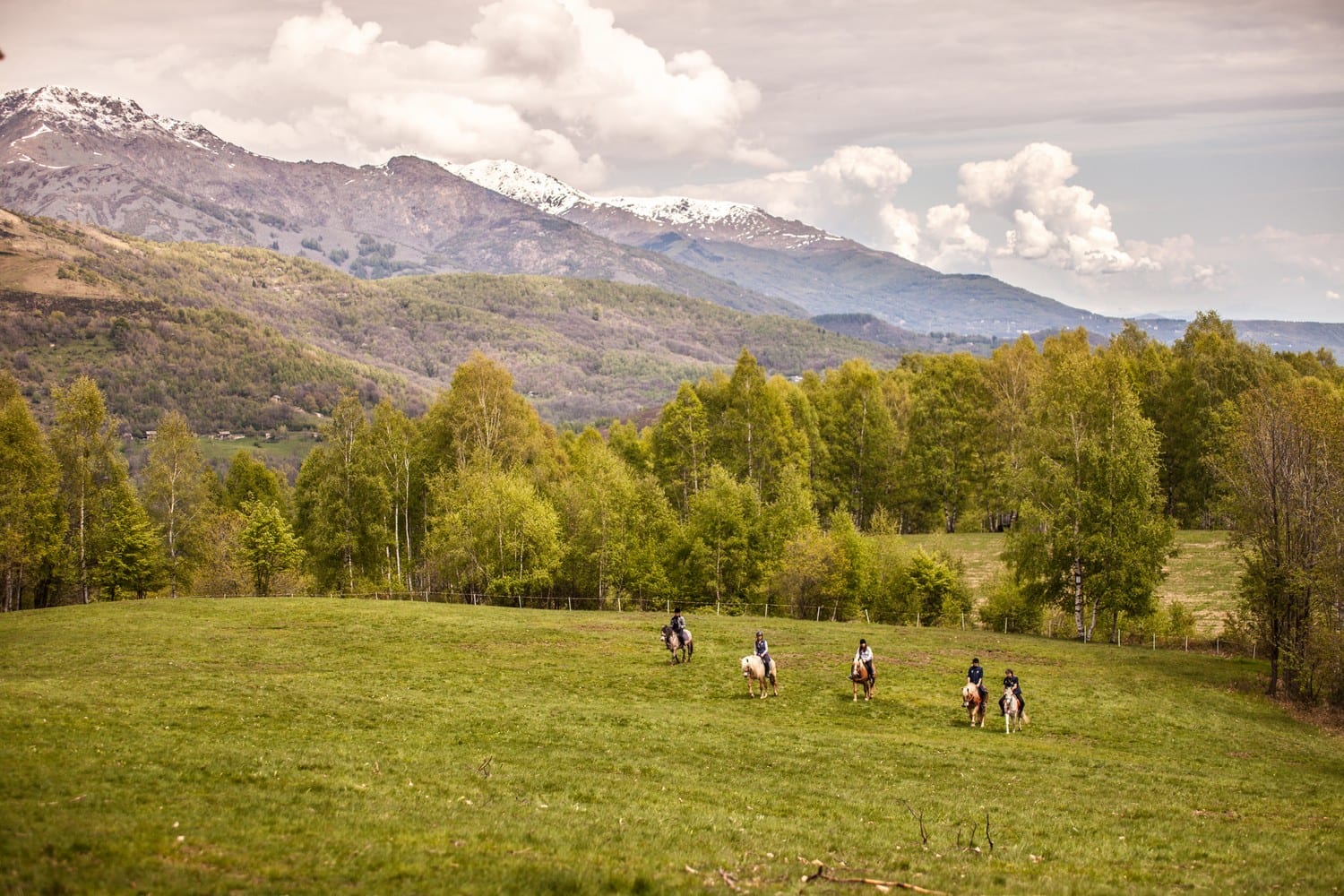 equestrian B&B